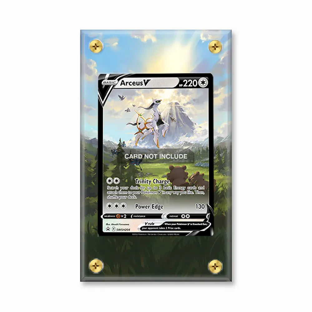 Arceus V SWSH 204 Promo Extended Art Display Cases